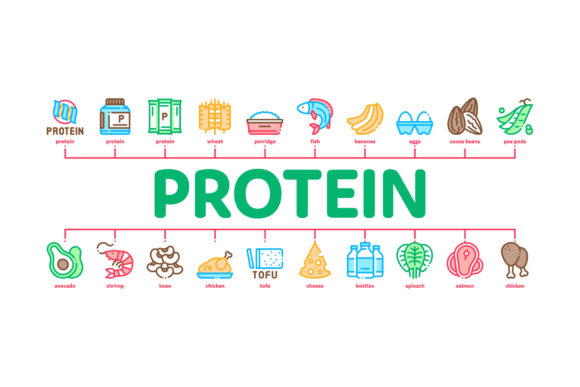 Protein Food Nutrition Minimal: A Practical Guide to Clean Visual Assets